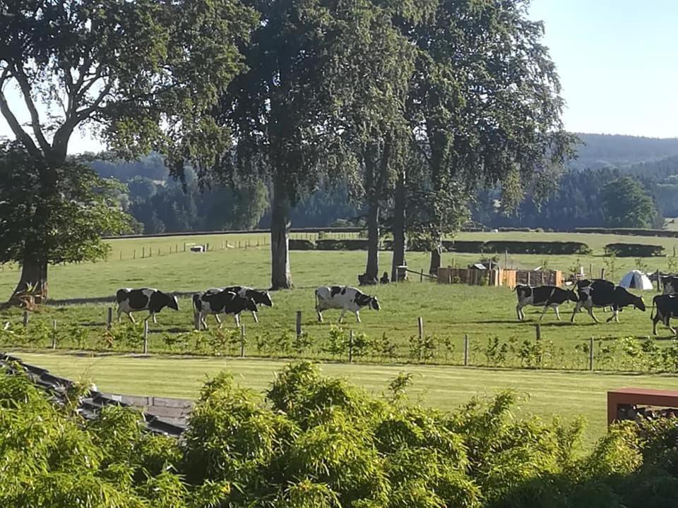 Lanonweye Hotell Waimes Exteriör bild